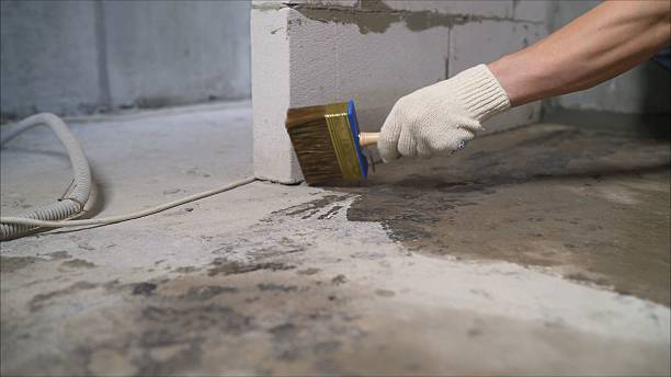 Top rated local Wet Basement Repair specialists in Hesperia, MI