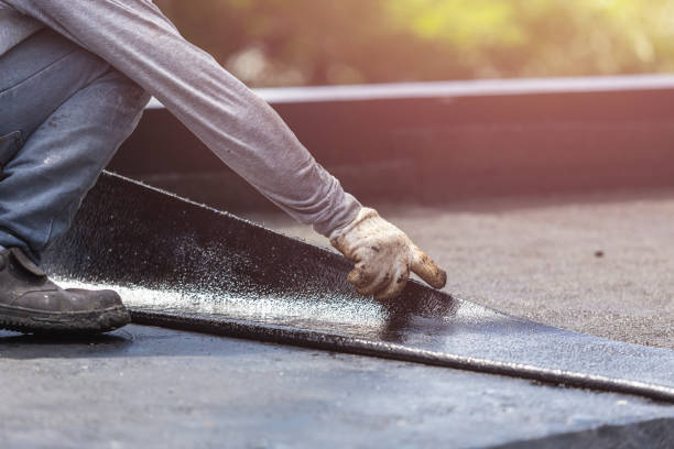 Professional Wet Basement Repair technician working in Hesperia, MI